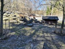 海柏公园-多伦多-BetTerDAY