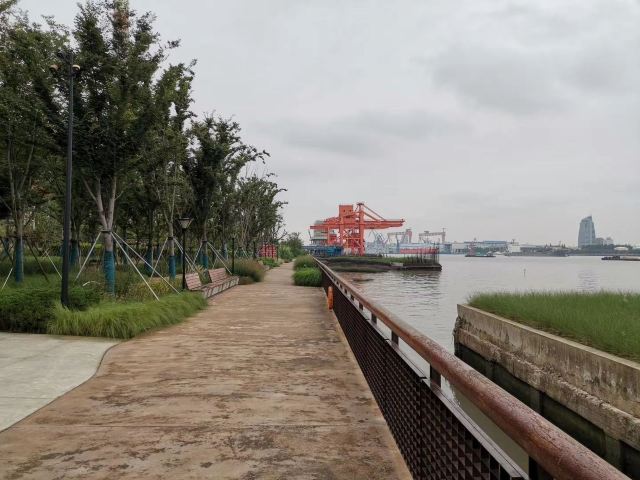 大桥公园旅行图片 3