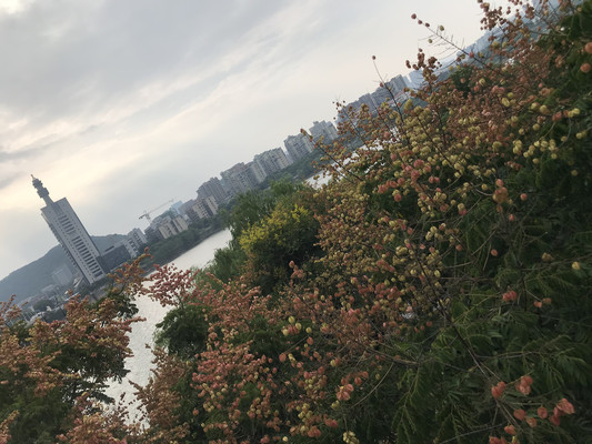 长沙悠闲4天岳麓书院省博物馆芝士之旅
