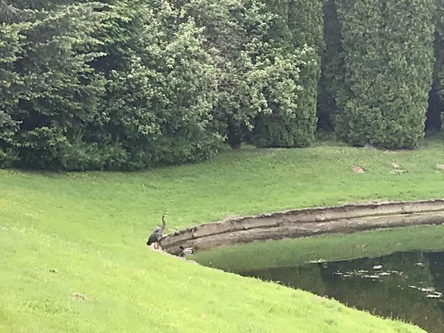  Navy Marine Golf Course Navy Marine Golf 