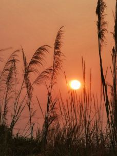 大亚湾-惠州-JJ77