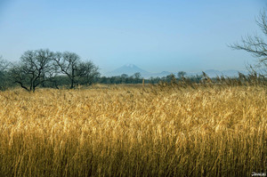 栃木县游记图文-东京出发栃木冬日旅游推荐 你可能不知道的景点新鲜5选