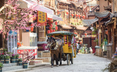 普者黑景区游记图片] 云南的马车太便宜了，坐一次才5元，车夫刘德华说一天只能赚50元