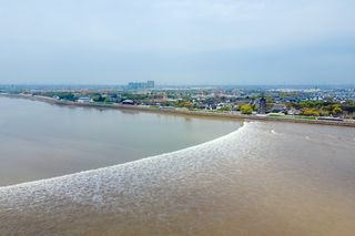 海宁周末游 | 观钱塘潮“一线潮”、赏滨江樱花林、探名人故居