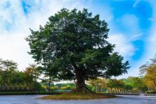 麒麟山公园-深圳