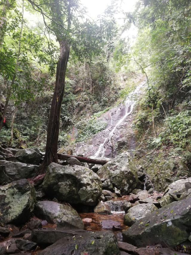 海南热带雨林国家公园五指山景区旅行图片 7