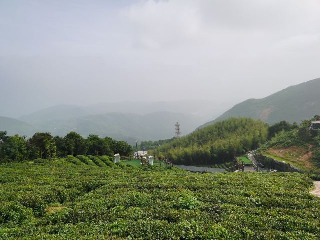 长沙黑麋峰森林公园旅行图片 4