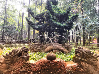 果真不负天府之国美名！