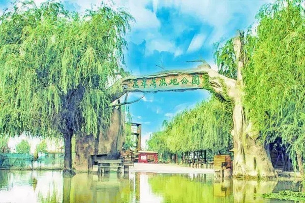 这个夏天去哪避暑?来江苏高邮湖过上“绿野仙踪”生活