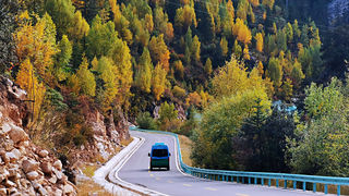视觉盛宴！措普沟景区赏秋指南来了～