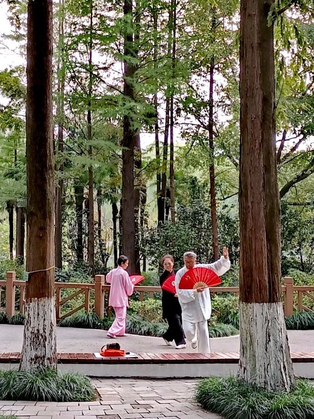 岭南公园旅行图片 3