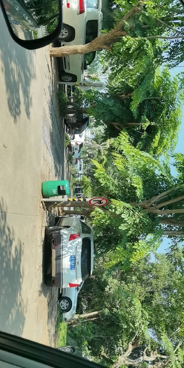 海口城市中央公园旅行图片 4