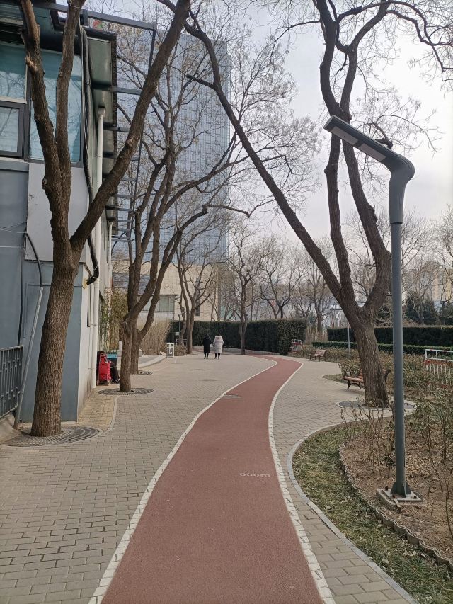 玫瑰公园旅行图片 2