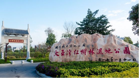 红树林公园