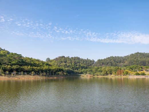 大夫山森林公园