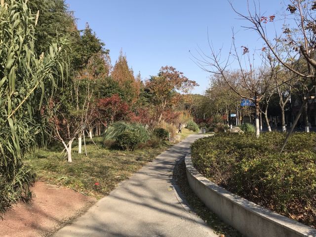 莘庄公园旅行图片 1