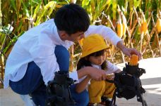 恋乡太行水镇-易县-C-IMAGE