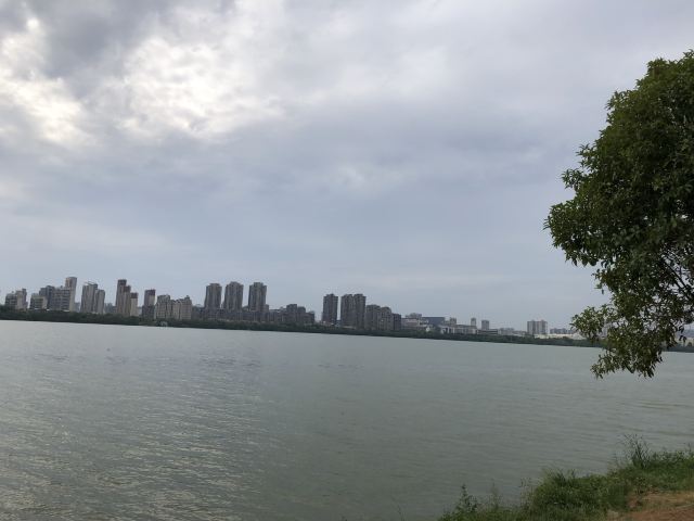 艾溪湖森林湿地公园旅行图片 7