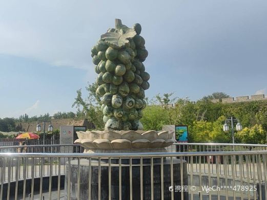 莲花葡萄小镇