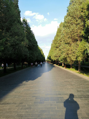 北京市天坛公园