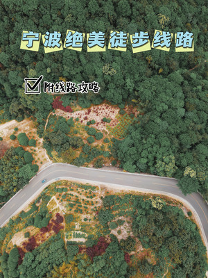 宁波赞爆的徒步线路，林间不止有山水，趁秋高气爽赶紧试试