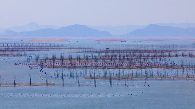 小皓海滩旅行图片 3