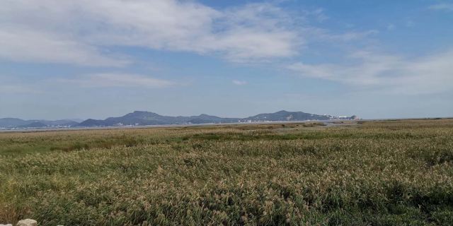 闽江河口国家湿地公园旅行图片 1