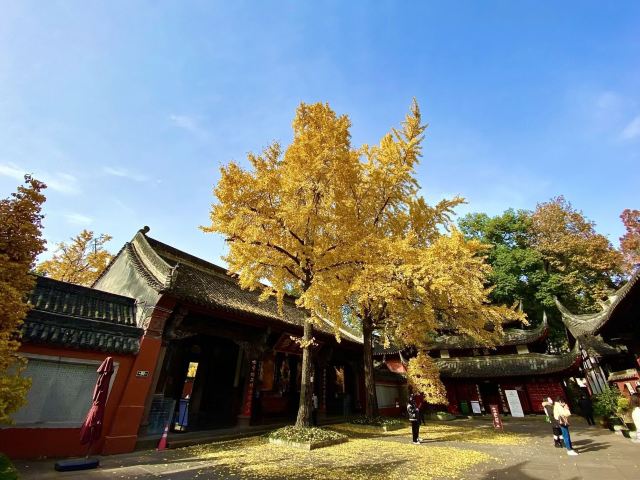 文殊院旅行图片 3