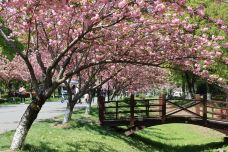 苏州中国花卉植物园-苏州-C-IMAGE