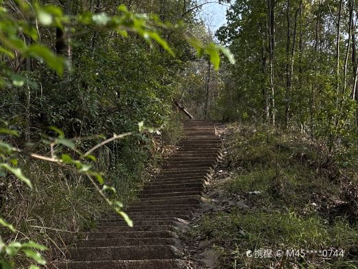 梅林湿地公园