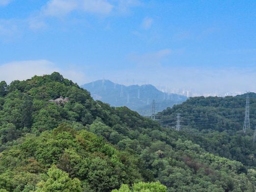 凤凰山森林公园