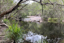 Macalister Range National Park景点图片