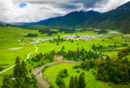 鲁朗林海景点图片