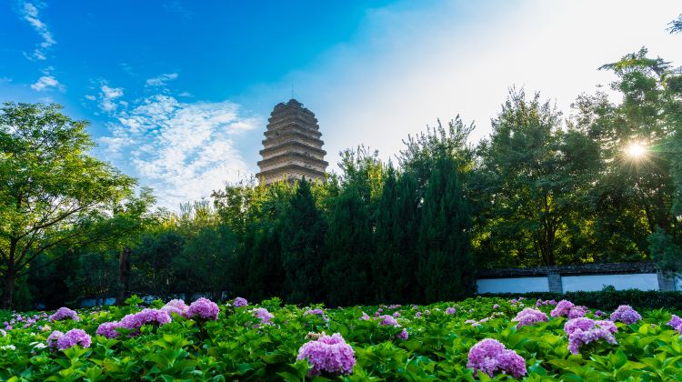 4-Day Highlights Food & Culture Private Tour from Xi’an: Terracotta Army, Xi'an City Wall and Big Wild Goose Pagoda丨Free Time Included·  