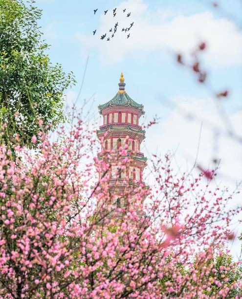 莲花山