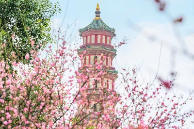 莲花山旅游区