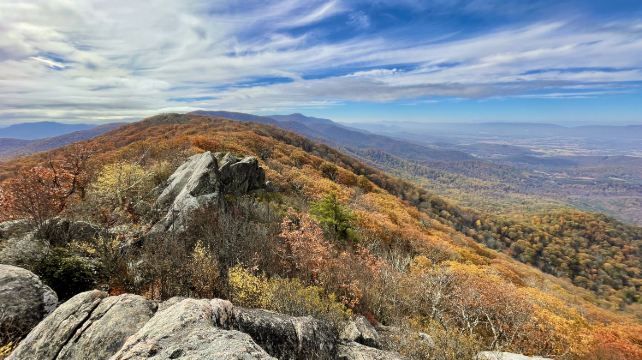 4-Day Bus Tour from New York·Great Smoky Mountains and New River Gorge National Park