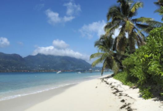 塞尔夫岛景点图片