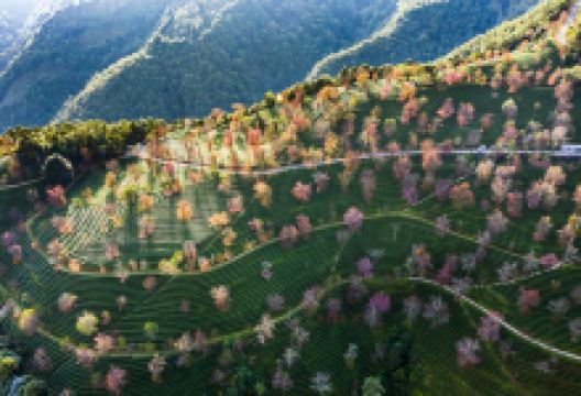 无量山景点图片