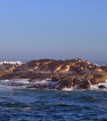 太阳游记图文-野生动物寻踪（穿越南非二）