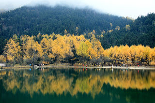 成都、毕棚沟、米亚罗观叶五日行