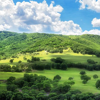 木兰围场+乌兰布统旅游区+塞罕坝国家森林公园+坝上2日1晚跟团游