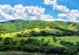 travel picture