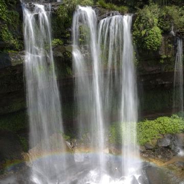 成都大熊猫繁育研究基地+武侯祠+杜甫草堂+自贡恐龙博物馆+燊海井+蜀南竹海5日4晚私家团