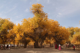 青海、甘肃、内蒙古网红景点一网打尽,十五日自助游(三)