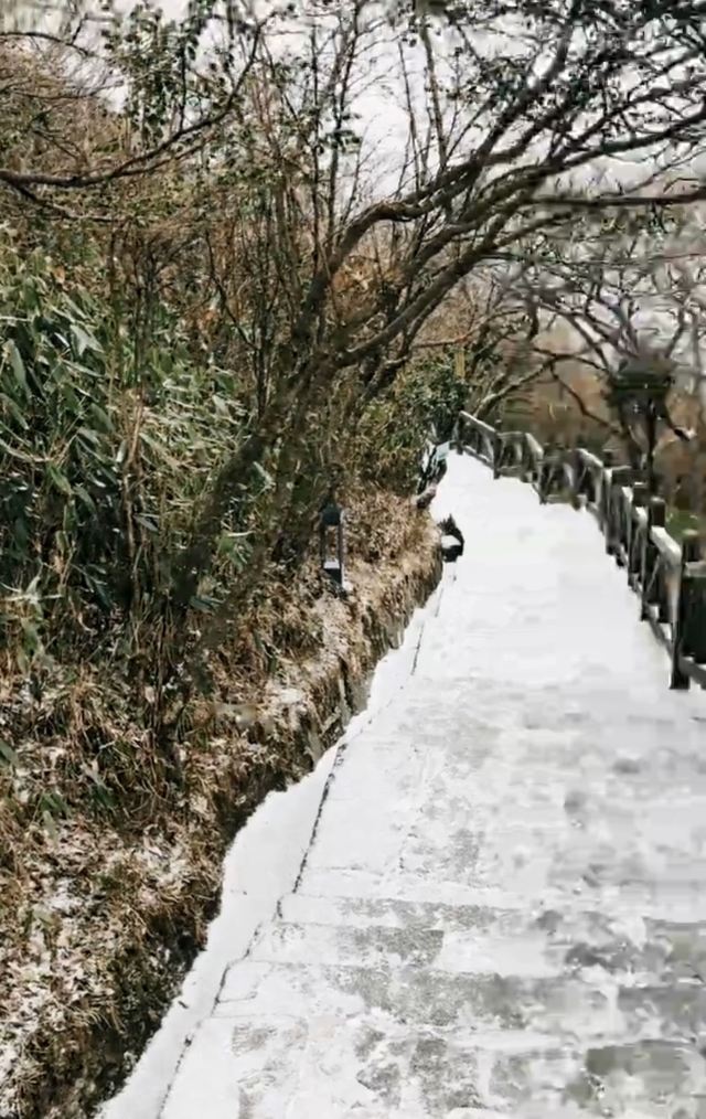 梵净山公园旅行图片 3