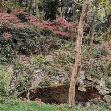 大吴山森林公园