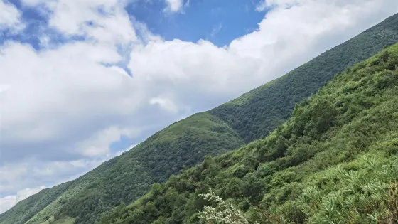 瓦吉莫