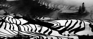 水墨丹青话元阳，云下雾里看梯田