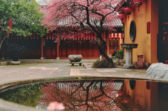 湖州铁佛寺旅行图片 2